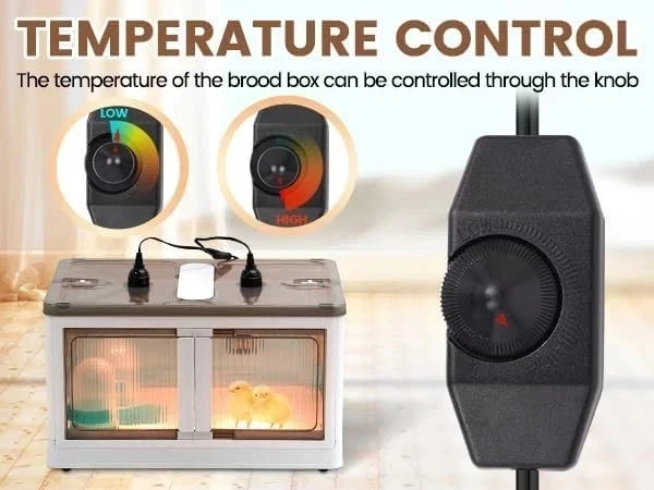Brooder Box for Chicks Quail Brooder Box with Thermostat Poultry Heater
