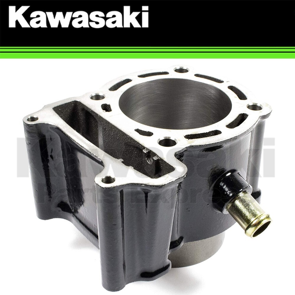 NEW 2012 - 2025 GENUINE KAWASAKI BRUTE FORCE 300 ENGINE CYLINDER 11005-Y003