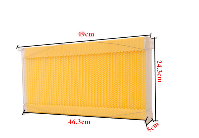 Auto Drain Honey Bee Hive Bee Boxes Beehive Starter Kit +7 Beekeeping Frames New