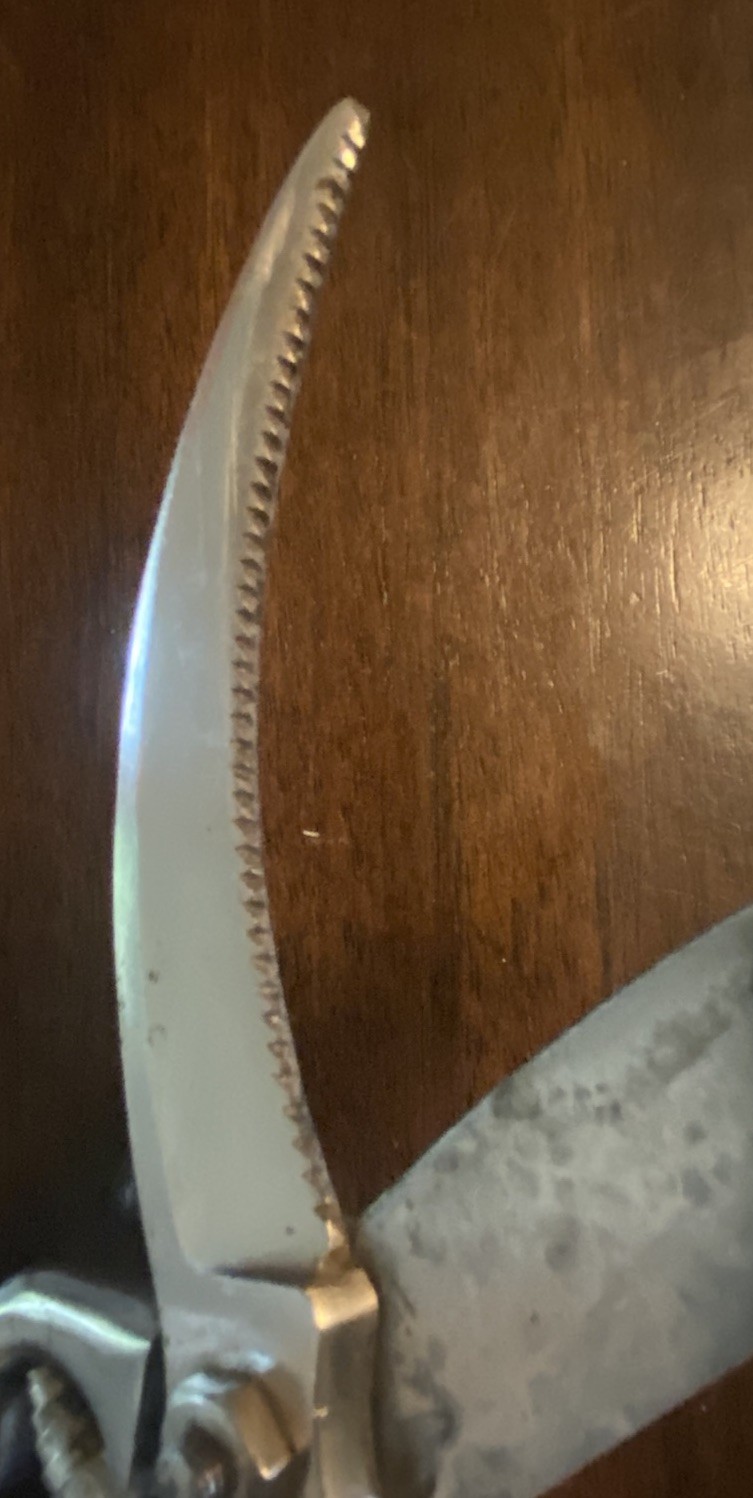 S. R. Droescher SRD Solingen 10-Inch Steel Secateur Pruner