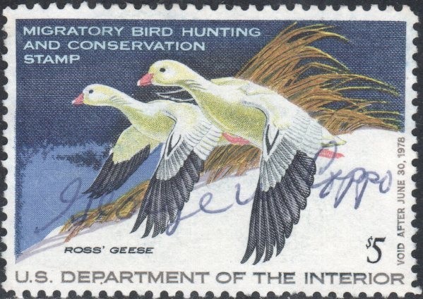 US Scott #RW44 Duck Stamp, used
