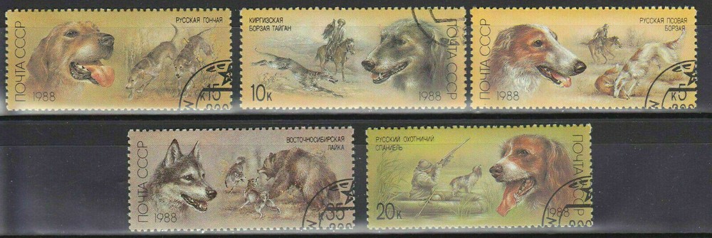 Dogs hunting dogs complete set of Soviet Union dogs canine собачий canin C 354