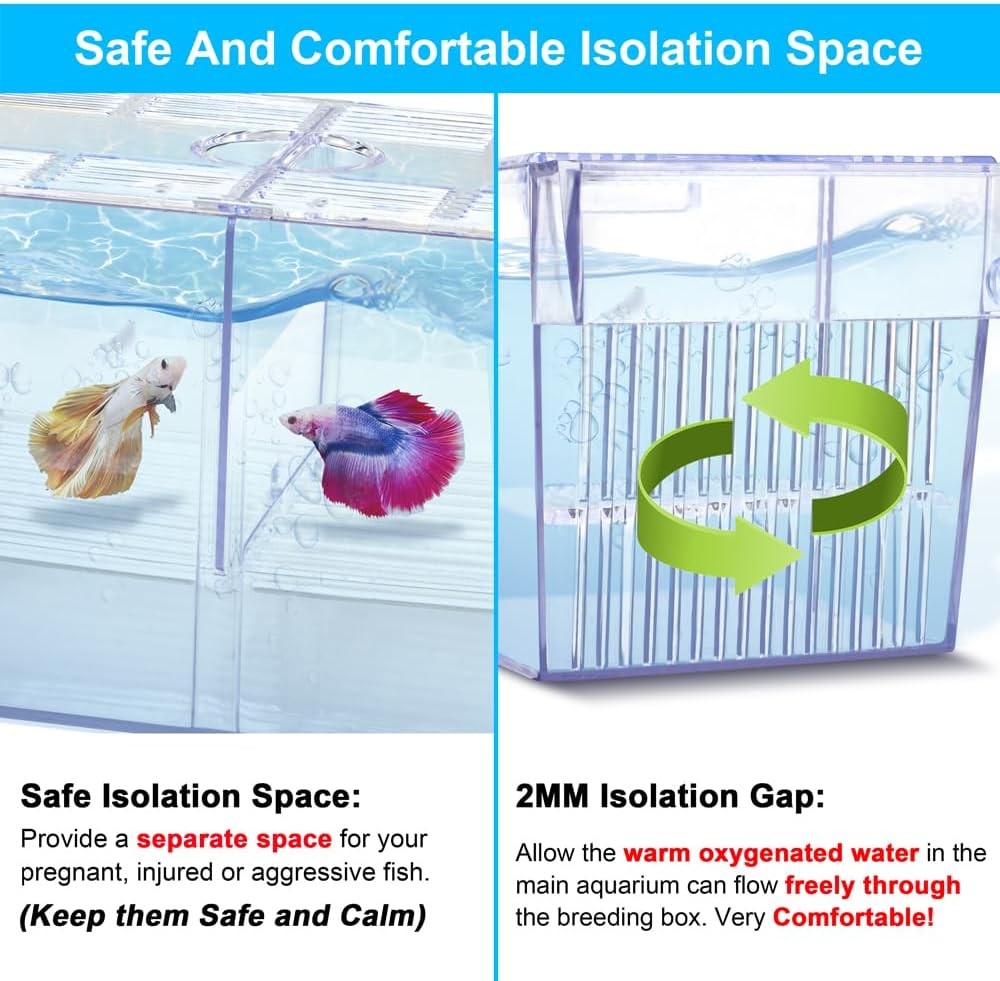 Transparent Fish Breeding Isolation Box