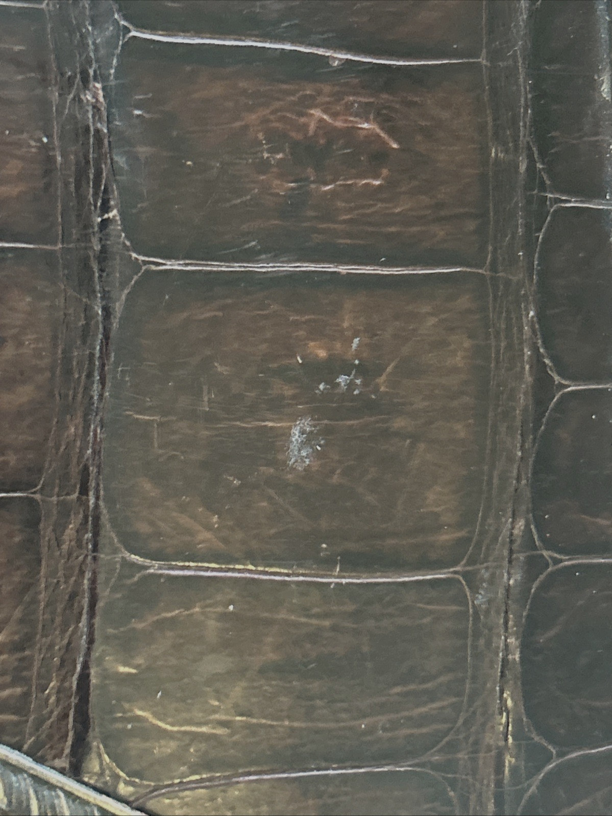 Aristocrat Silver Plate w/ Crocodile/ Alligator Top Cigarette Box Wood Lining