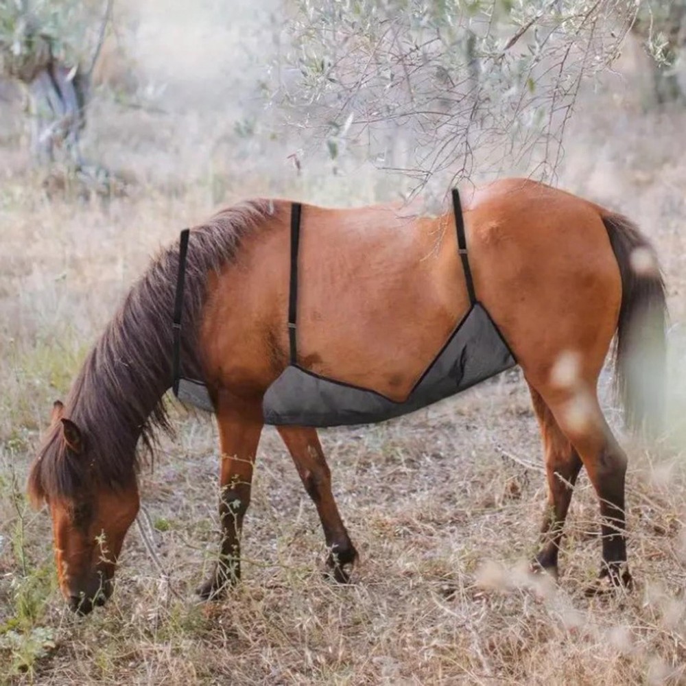 Horse Fly Sheet Belly Mesh Protector