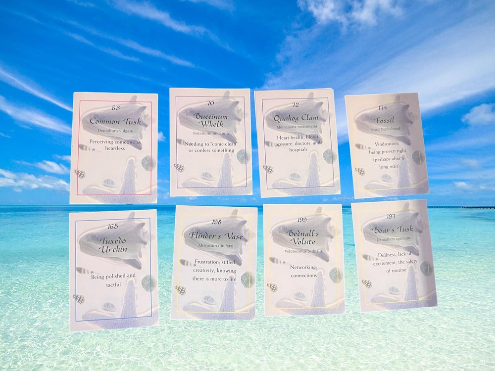 Ocean Oracle Card Deck By Michelle Hanson Seashell Divination Oracle Set