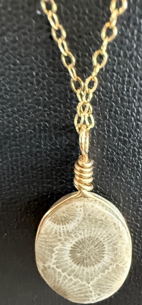Petoskey Stone Hand Polished Pendant Necklace 1/20 GF 18” Chain