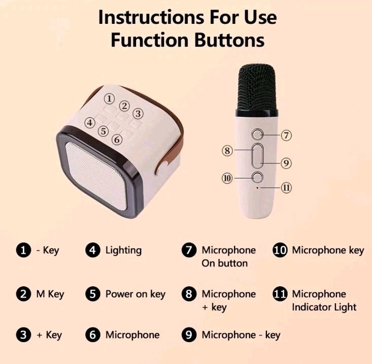 Wireless Mini Karaoke Machine 2 Microphones Bluetooth Speaker Lights