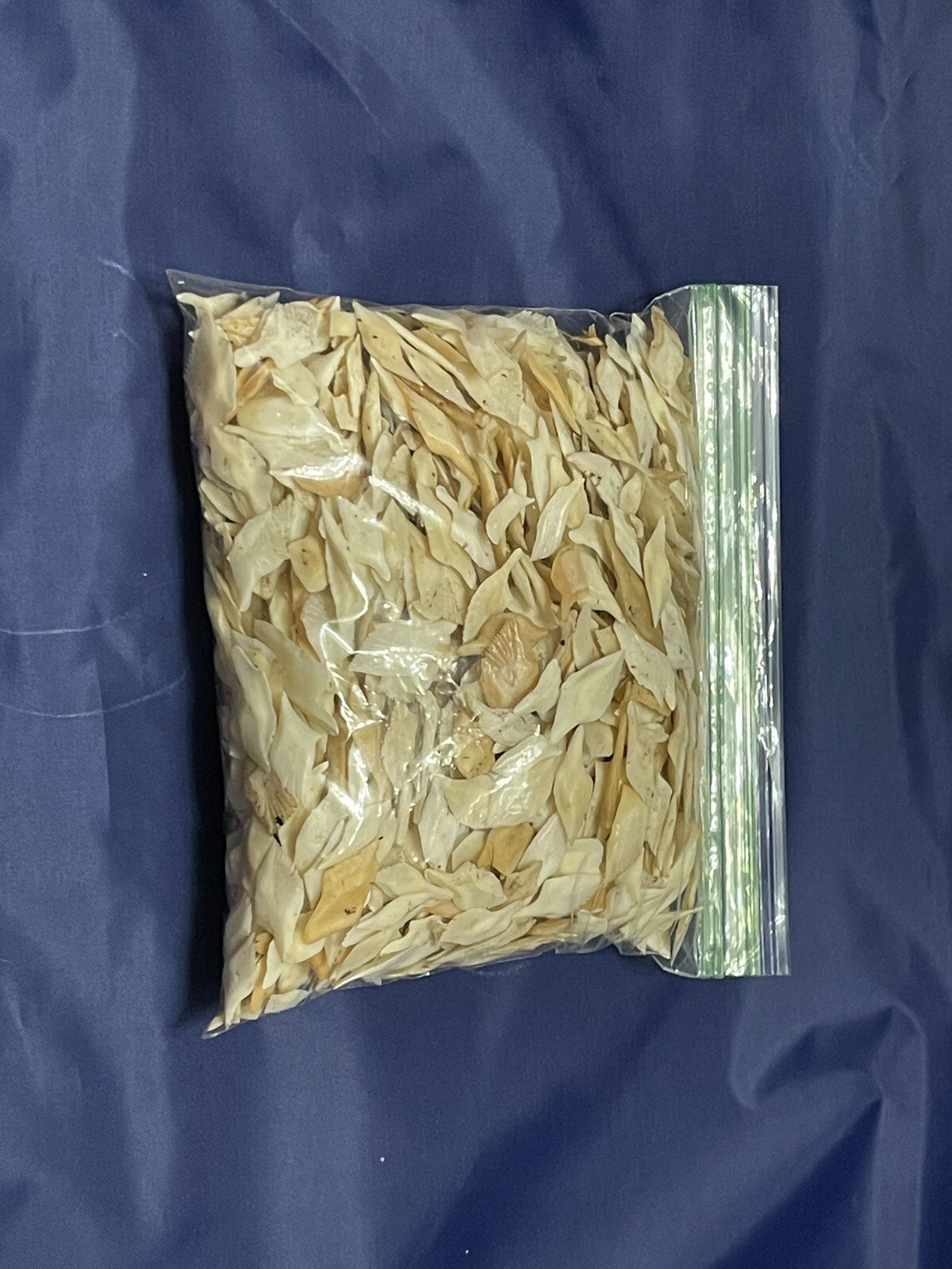 Alligator Gar Scales 1 Pound Bag For Crafts And Jewelry Making