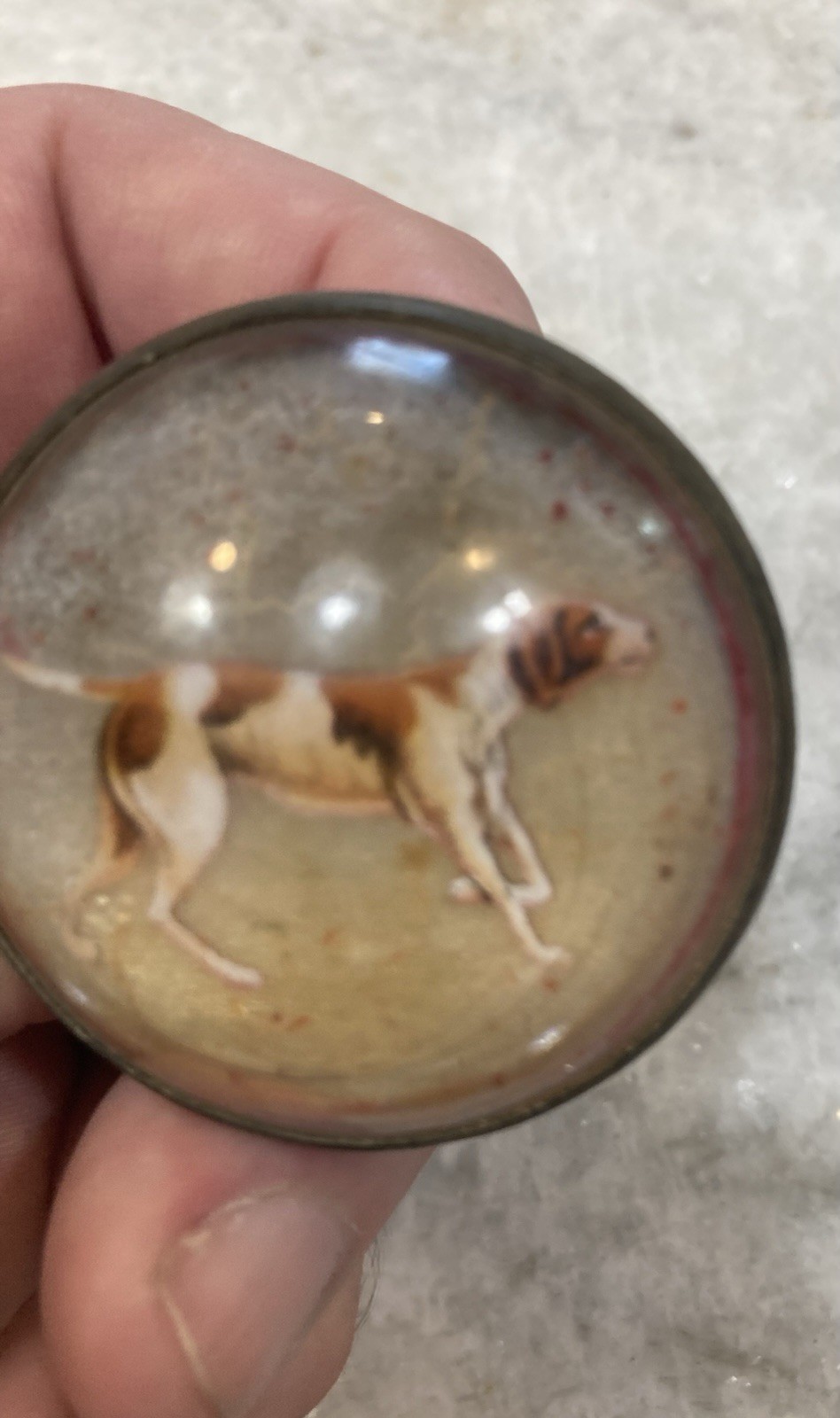 Antique Original Vintage Horse Bridle Rosette Bird Dog Brass And Glass Free Ship