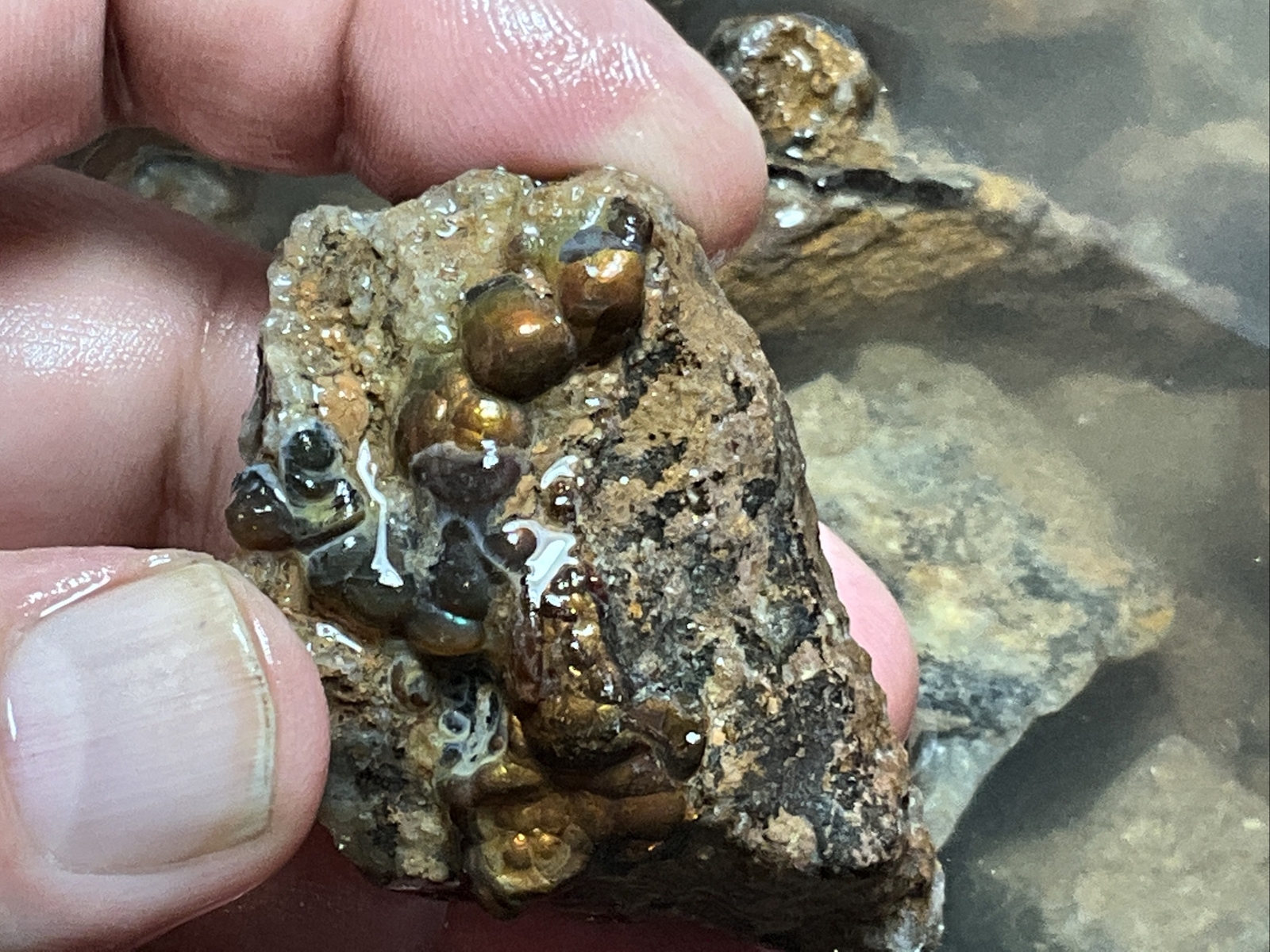 1/4 Pound Fire Agate Choice & Mid Grade Professionally Chosen Colorful Rough Lot