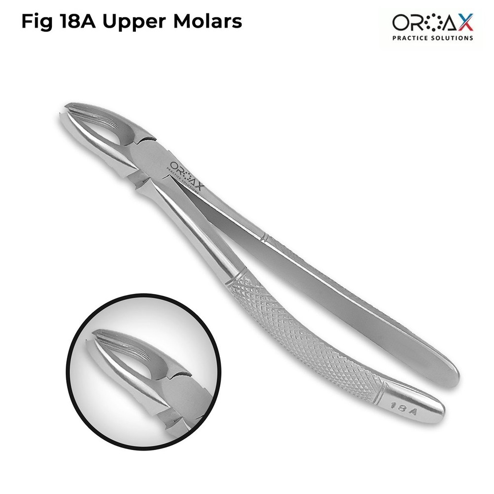 Oroax Fig 18A Dental Extraction Forceps Solid Handle Stainless Steel