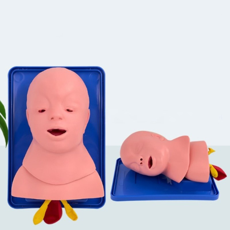 Infant Intubation Training Model for Training Institutions