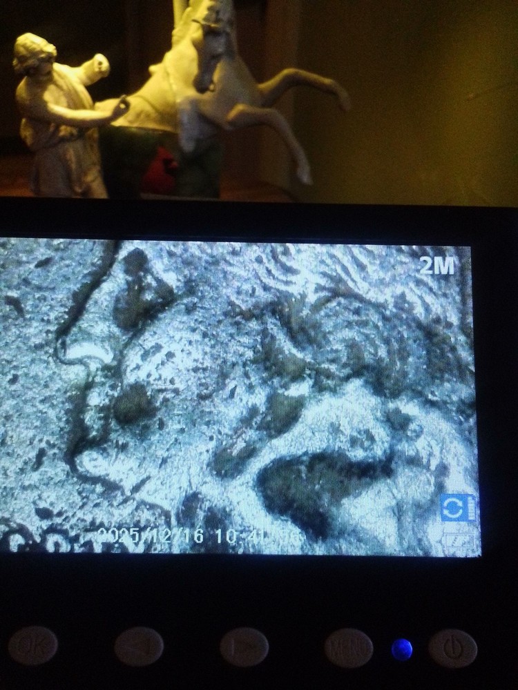 2005 Kansas Major Mint Error Quarter