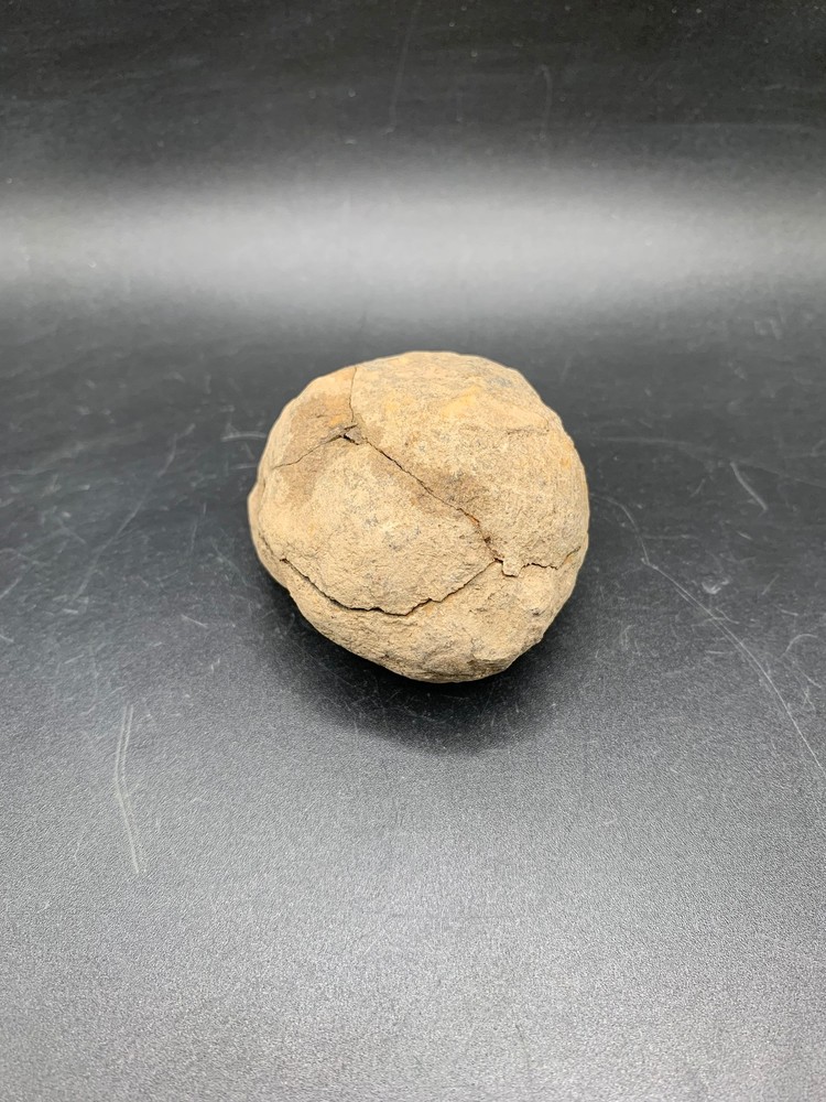 Trilobite in Nodule (Flexicalymene)