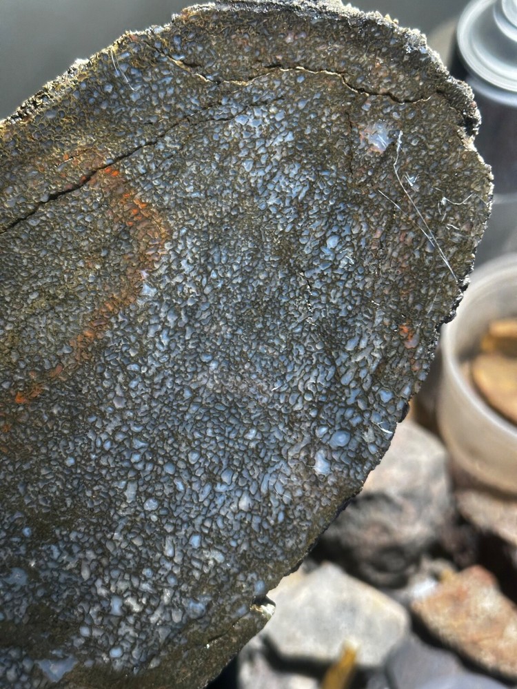 Dinosaur bone rough **hxtled large slab.