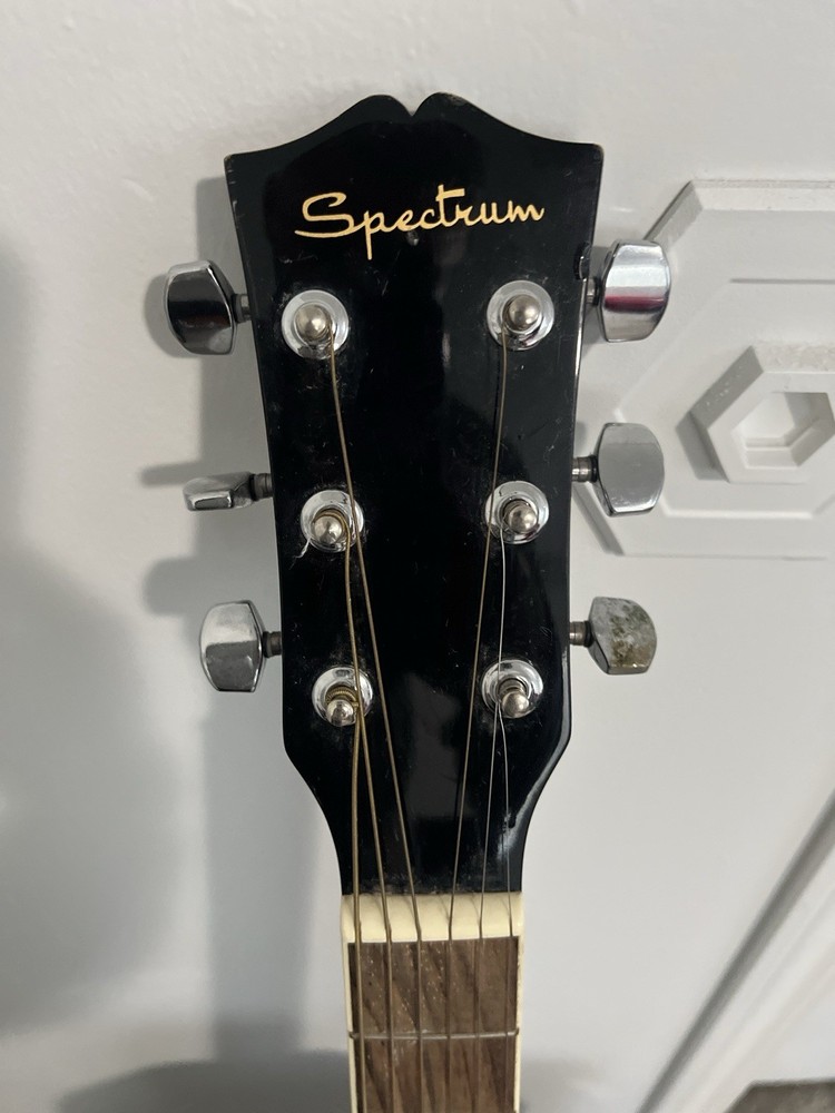 Spectrum Acoustic Guitar