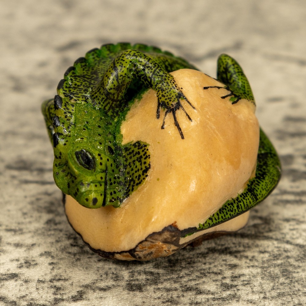 Green Iguana Lizard Tagua Nut Carving