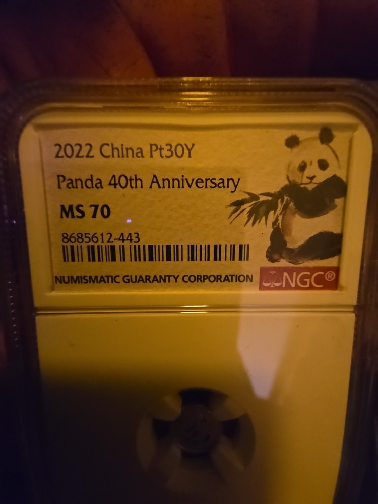 2022 40th Anniversary Platinum Panda In Ms 70