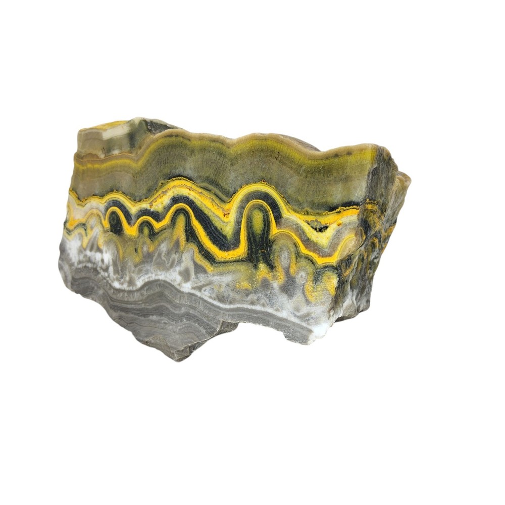 Bumblebee Jasper, 1.25 lbs, cabbing rough, #R-6999