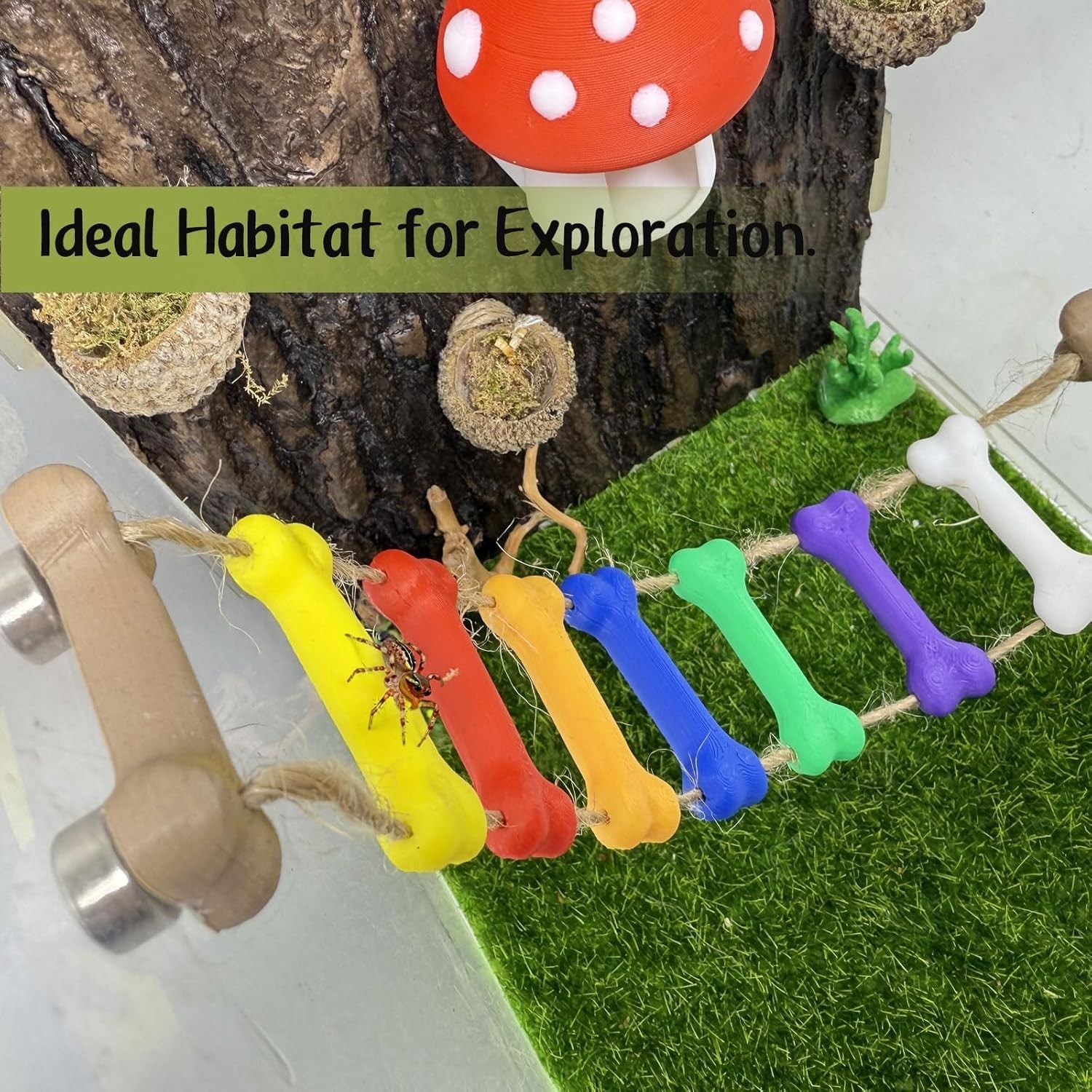 Jumping Spider Rope Bridge Solid Wood Climbing Suspension Bridge Enclosure Color