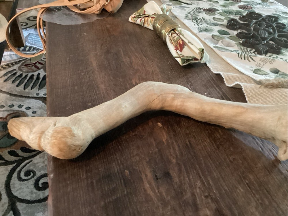 Mammoth Bone