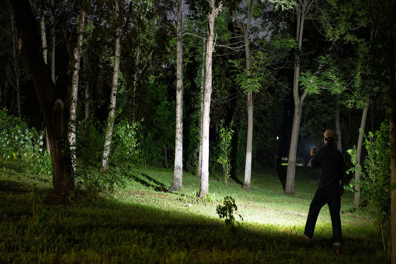 Olight Oclip Pro Zombie Green Clip-On Flashlight Red Light New