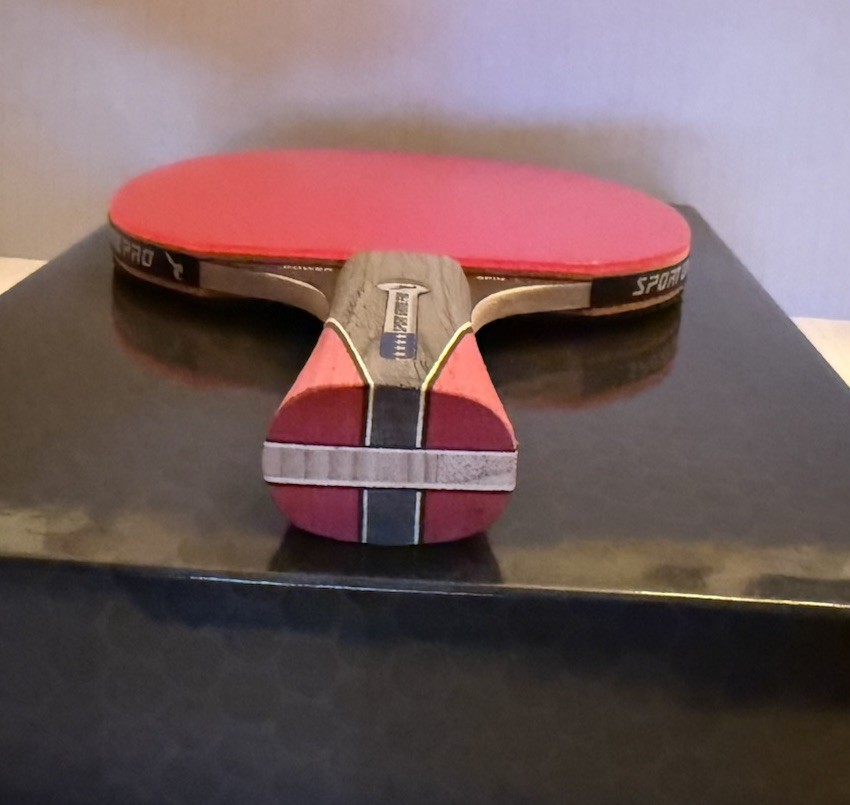 Professional Table Tennis Racket