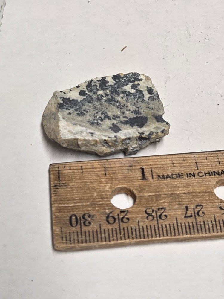Beautiful Native Silver specimen