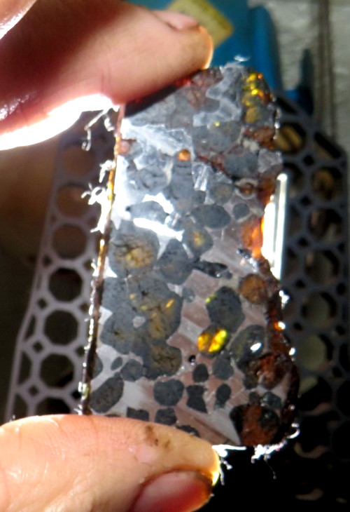 30 gm SERICHO pallasite Meteorite slice translucent from Kenya std olivine JAL