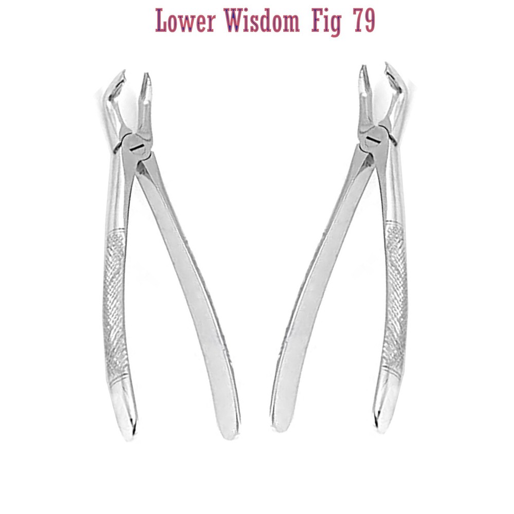 X2 PC Dental Instruments Extraction Forceps For Lower Wisdom Fig 79