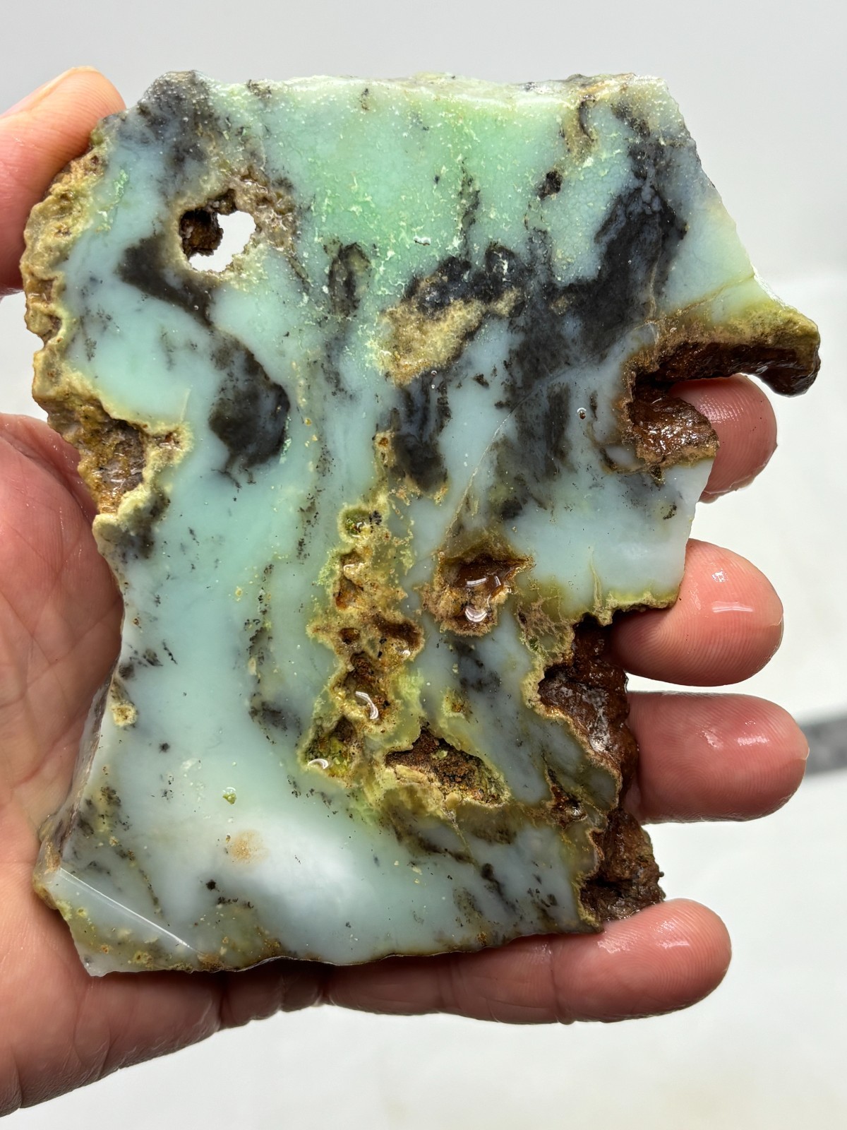 Indo Dendritic Chrysoprase Slab Cabbing Lapidary Collecting Combo Ship Avail