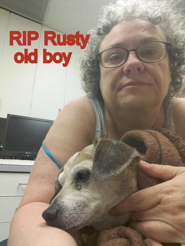 9.25" elegant clear pressed glass bud vase with flared rim & vining leaf pattern