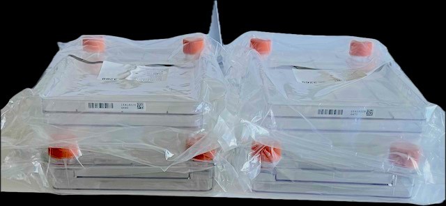 CORNING CellSTACK Polystyrene CellBIND - 2 Chamber with Vent Caps, lot of 4 pcs