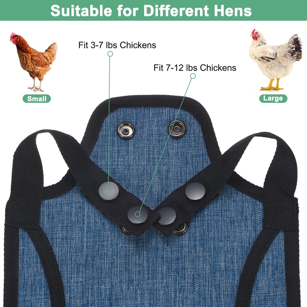 3-Pack Premium Chicken Saddle, Hens Saddle with Adjustable Strap [Blue]