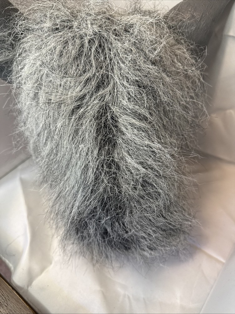 Warewolf Wolf Rubber Halloween Mask Unbranded 2014