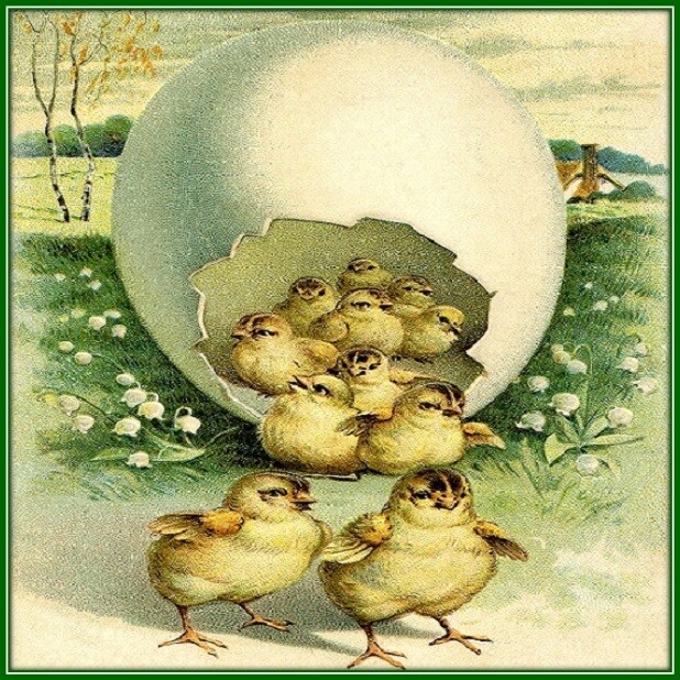 30 Custom Spring Easter Chicks Personalized Address Labels