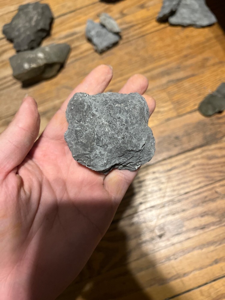 Marine Fossil Rocks