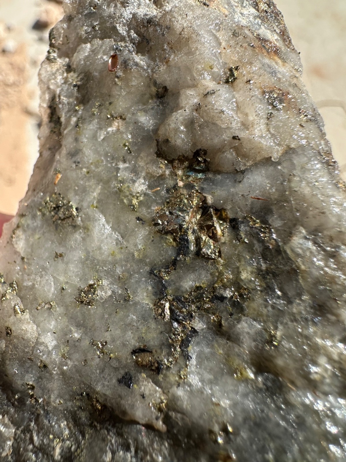 GOLD ORE SAMPLE SPECIMENS 1.5 lbs