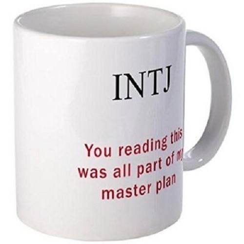11oz mug INTJ Plan - Printed Ceramic Coffee Tea Cup Gift