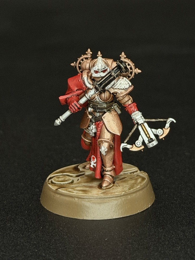 Warhammer Painted Celestian Insidiants Kill Team