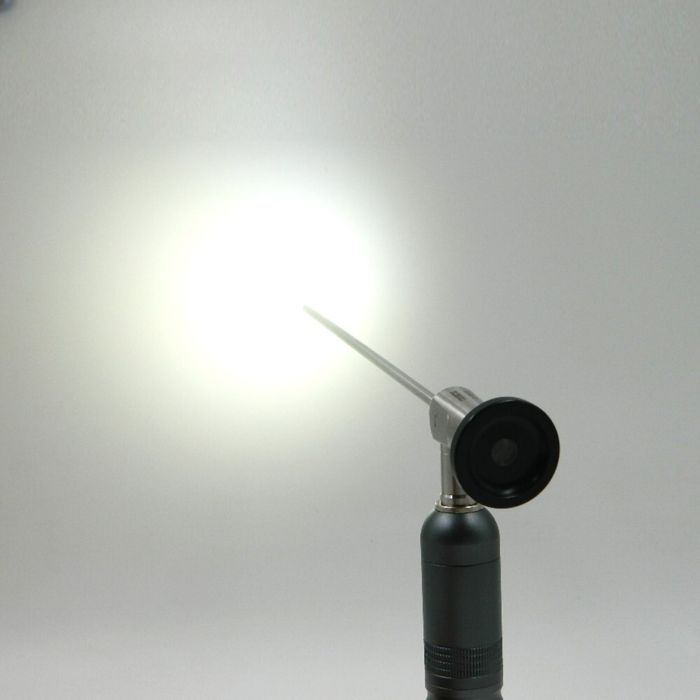 Mini Portable Handheld LED 10W Endoscope Light Source Waterproof For ENT