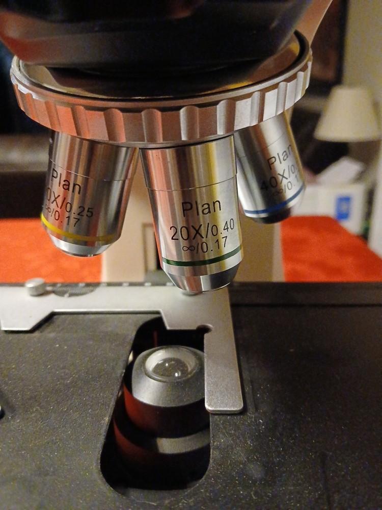 Seiler Microlux IV LED Compound Microscope With 5- Objectives