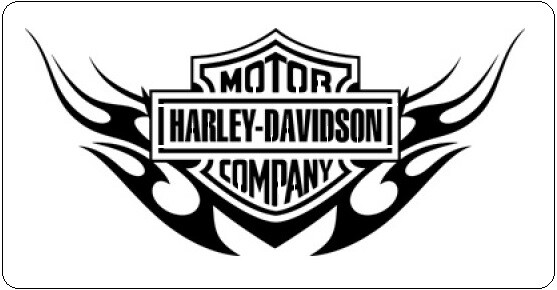 Harley Davidson flame Stencil Template Airbrush Paint # 38