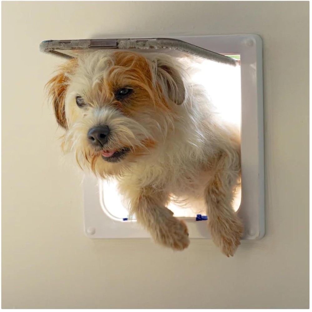 Pet Flap for Large Cats & Small Dogs - Secure Access