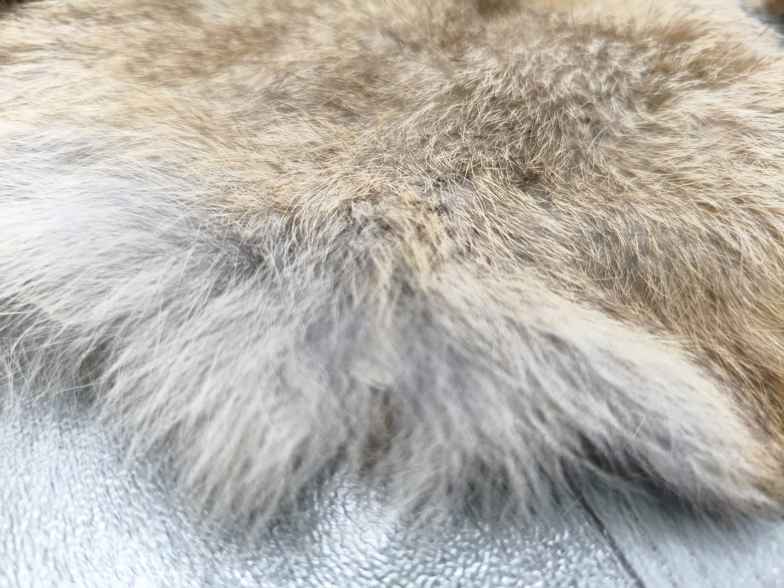 4x High Quality Tanned Rabbit Skin Pelt Animal Fur Hide Craft Grade Grass Yellow