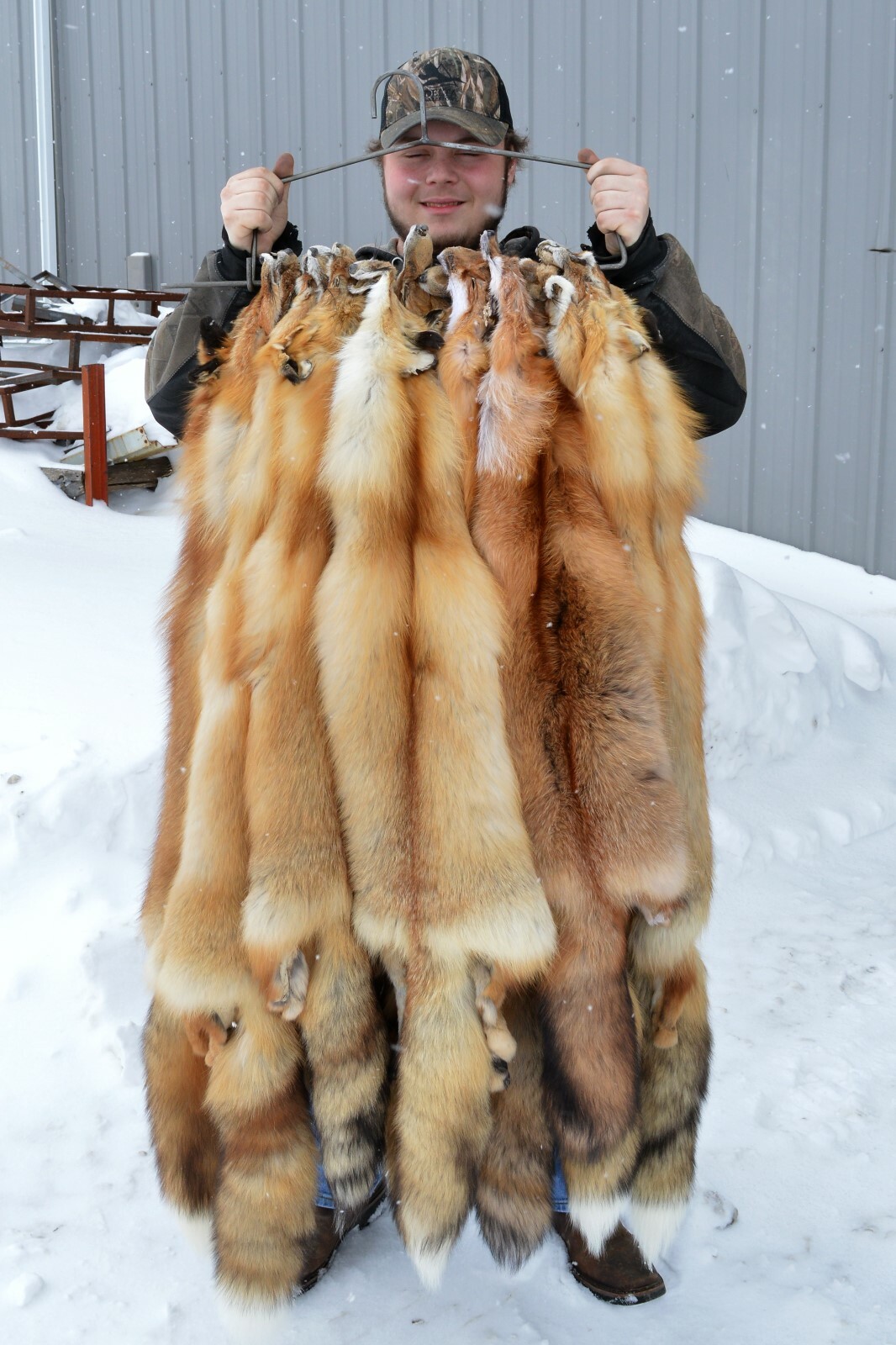 Tanned Red Fox  Winter “Heavy Fur” Western - Premium Grade