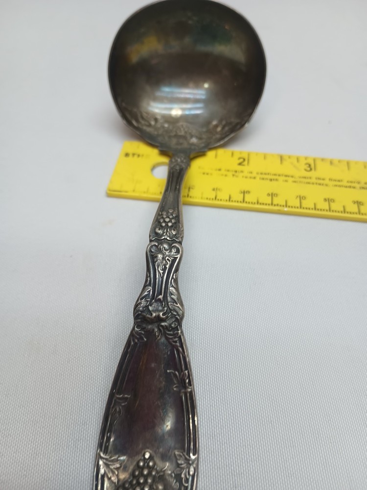 Wm. Rogers & Son IS Grapevine SILVERPLATE Dipping LADLE Spoon