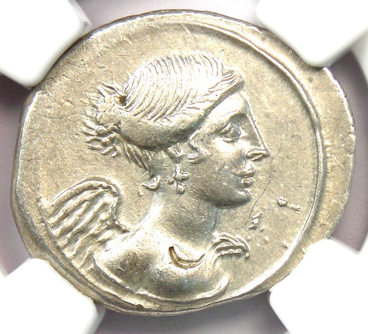 Augustus AR Denarius Silver Octavian Roman Coin 31 BC - Certified NGC XF (EF)