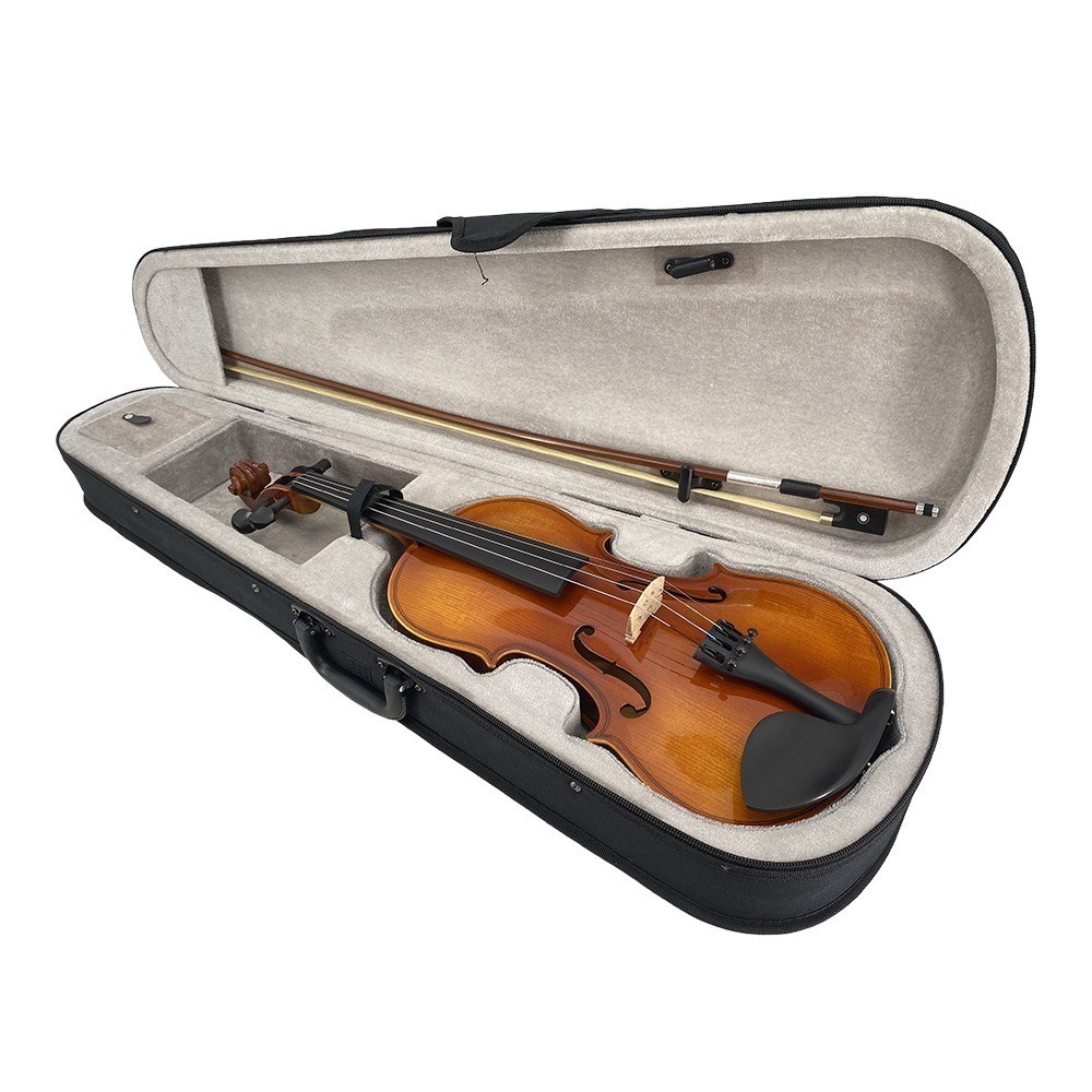 4/4 Violin Spruce Top Maple Back Beginner Gift Set with Case,Bow,Shoulder Rest